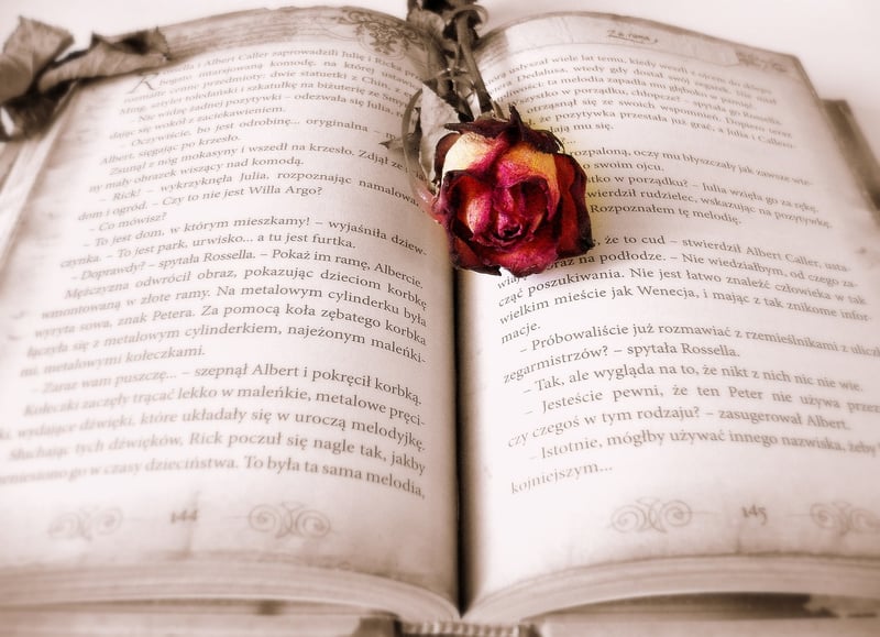 Time Machine Book